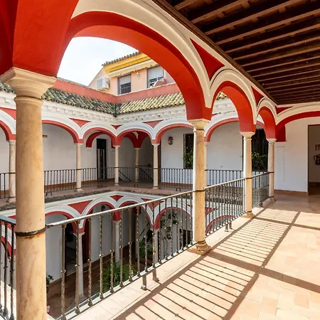 One&lux San Isidoro Apartment *